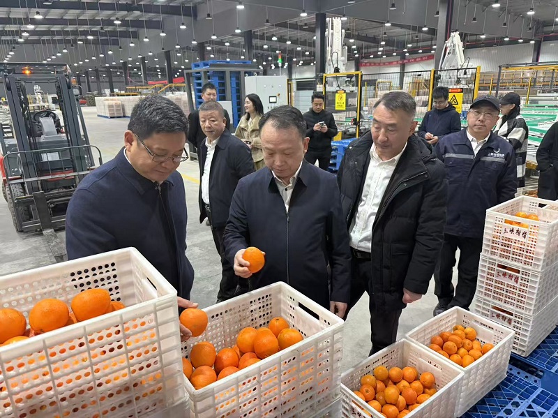 1764839354254759.jpg 微信圖片_20251204145754.jpg